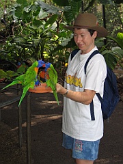 CairnsTC170 Cairns Tropical Zoo